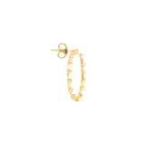 Hoop earrings with precious zirconia