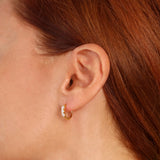 S421071 240 000_5.webp