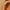 ELLEBR344_5.webp