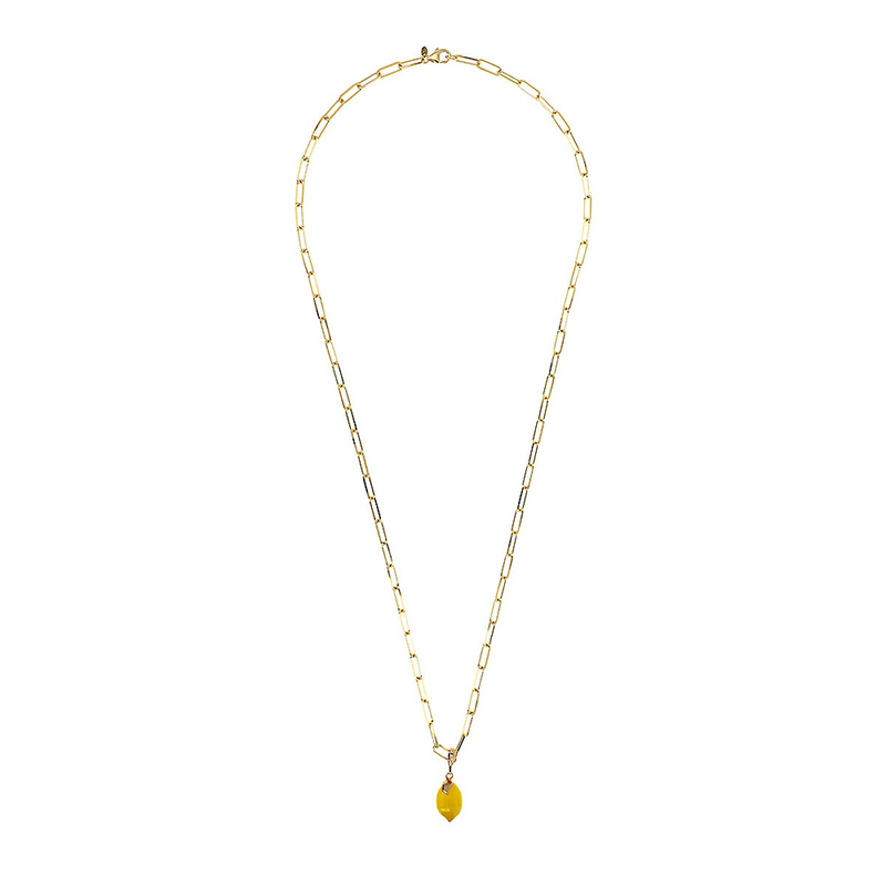 Taste of the Sea: Long Necklace with Sea Pendant