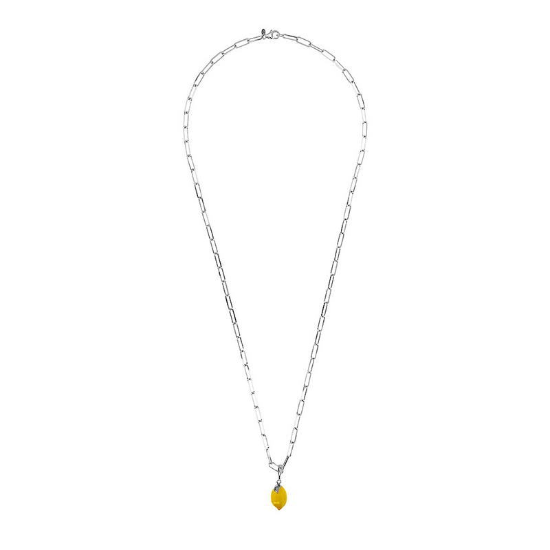 Taste of the Sea: Long Necklace with Sea Pendant