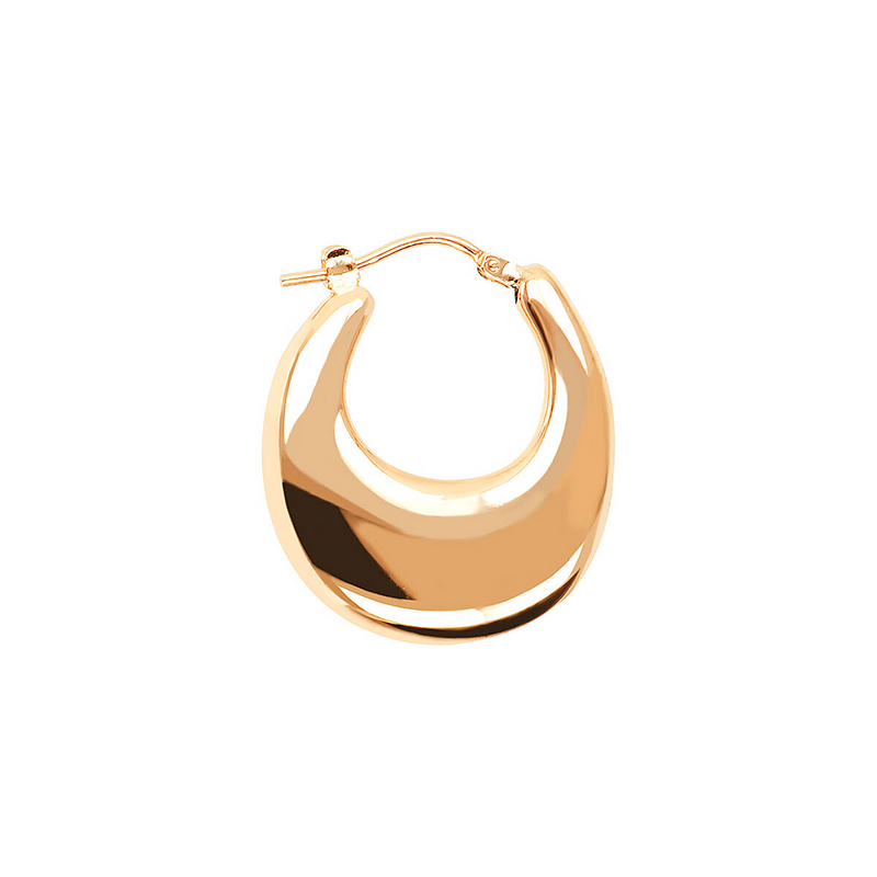 Metallic Earrings