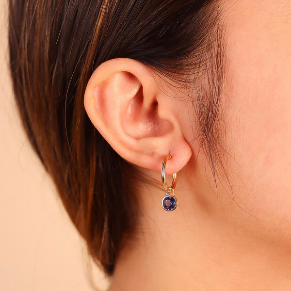 Harmony of Colors Circle Earrings with Round Pendant Stone