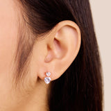 S422912 171 000_5.webp