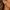 Orecchini Gala